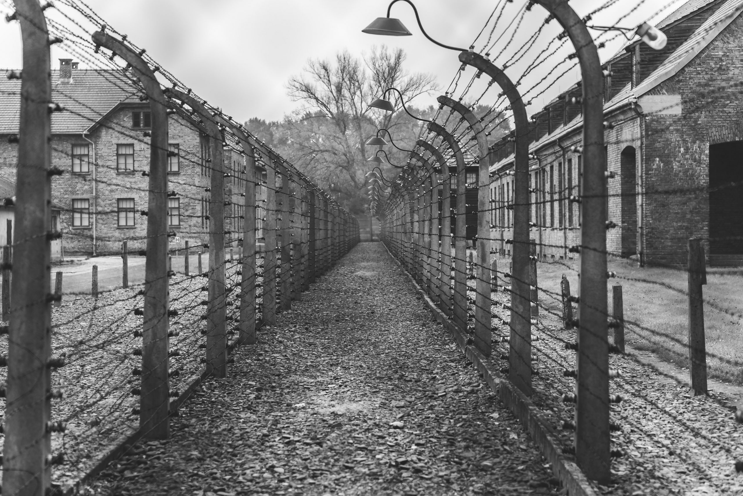Holocaust Holocaust
